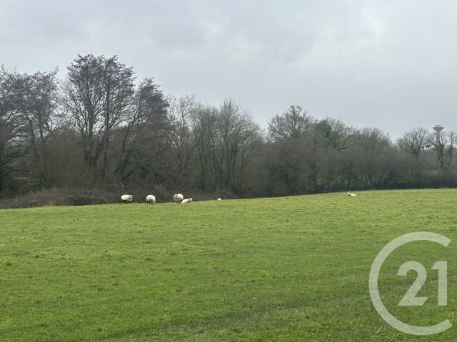 maison à vendre - 9 pièces - 284.58 m2 - ST BRIAC SUR MER - 35 - BRETAGNE - Century 21 Dufeil Invest