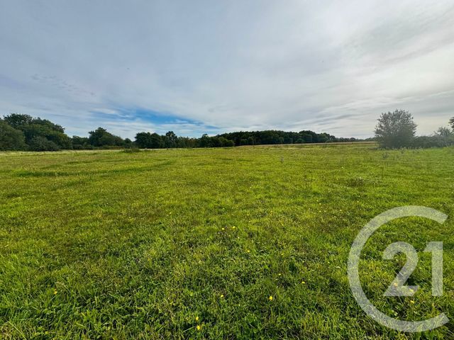 maison à vendre - 8 pièces - 180.45 m2 - LANGUENAN - 22 - BRETAGNE - Century 21 Dufeil Invest