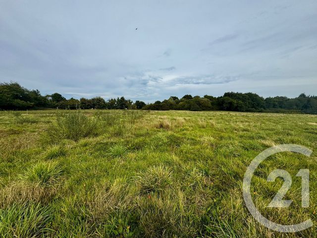 maison à vendre - 8 pièces - 180.45 m2 - LANGUENAN - 22 - BRETAGNE - Century 21 Dufeil Invest