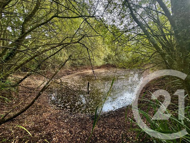 maison à vendre - 8 pièces - 180.45 m2 - LANGUENAN - 22 - BRETAGNE - Century 21 Dufeil Invest